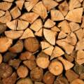 Tipos de madera para embarcaciones: guía comparativa