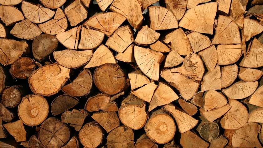 Tipos de madera para embarcaciones: guía comparativa