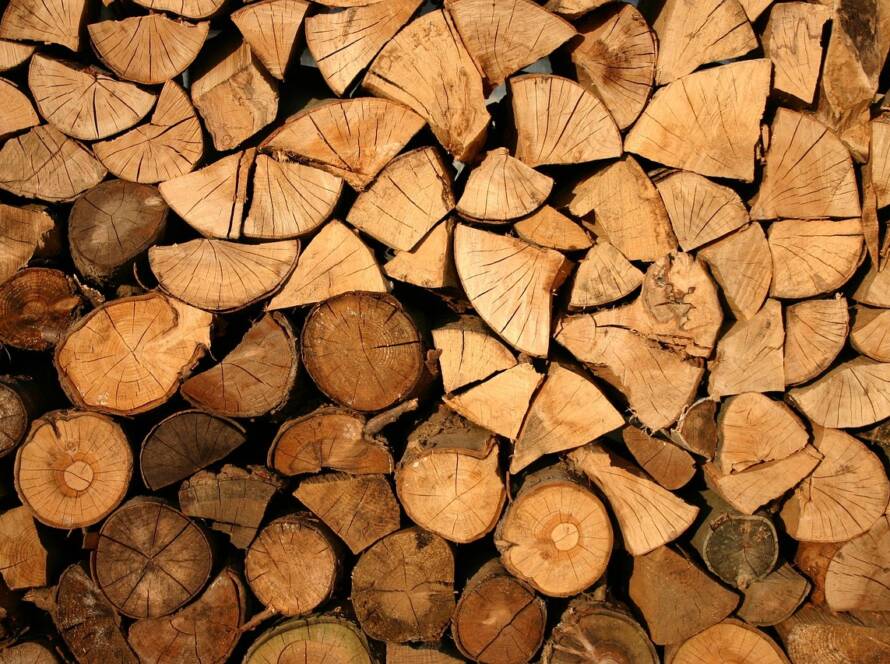 Tipos de madera para embarcaciones: guía comparativa